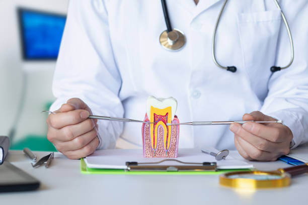 Best Emergency Tooth Extraction in Woodworth, OH